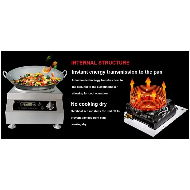 Placa de cocción eléctrica por - Home Cooking Heater reseña y precio